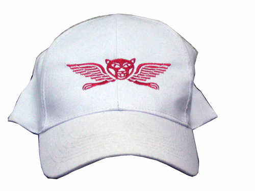 Sayeret Golani Flying Tiger Israel Baseball Cap